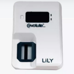 Lily