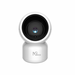 NG-C100 Dome Security Camera